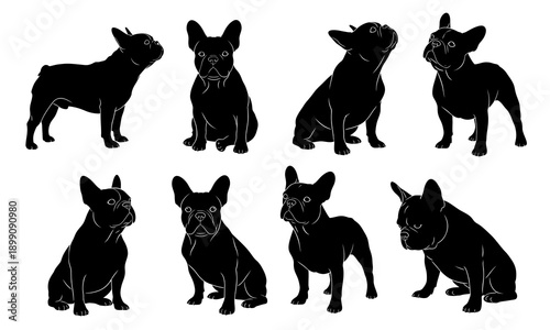 Illustration of set of eight black silhouette illustrations of french bulldog poses and views
