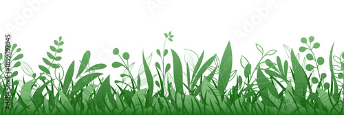 Drawn grass isolated on white background, seamless border, vector design
