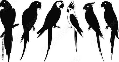 Black parrot silhouette vector set featuring macaw cockatoo tropical bird poses for wildlife branding, pet logos, nature illustration