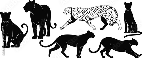 Black big cat silhouette vector set featuring leopard cheetah panther poses for wildlife branding, safari logos, nature illustration design