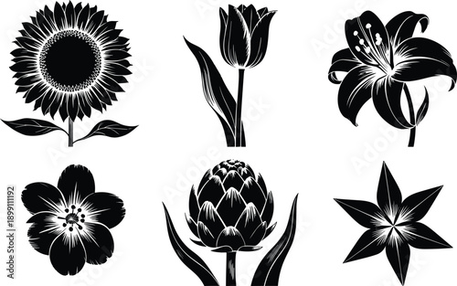Black flower silhouette vector set with sunflower tulip lily artichoke shapes for botanical branding, logo, packaging, decorative design