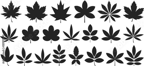 Black leaf silhouette vector set with assorted botanical shapes for autumn decoration, logo design, natural branding, seasonal graphic elements