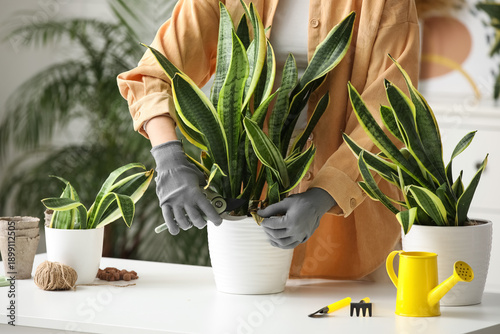 Woman in gloves with secate...