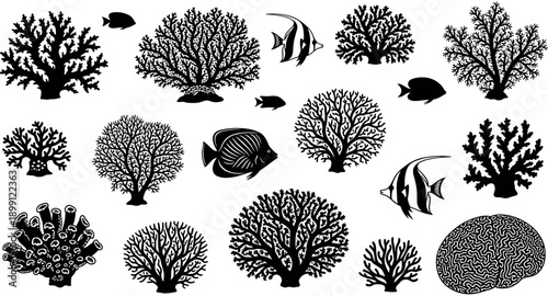 Collection of coral reef silhouettes and tropical fish icons, underwater sea life vector set, marine biodiversity isolated on white background