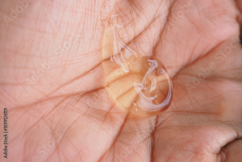 Photography aloe vera gel sits in the palm before being applied to the skin