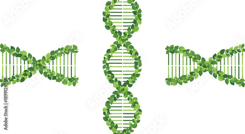 Three DNA double helix structures made entirely of small green leaves arranged vertically and horizontally on a white background for genetic biology themes.