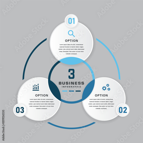 3 Business Options Infographic, Circular Triangular Layout with Icons