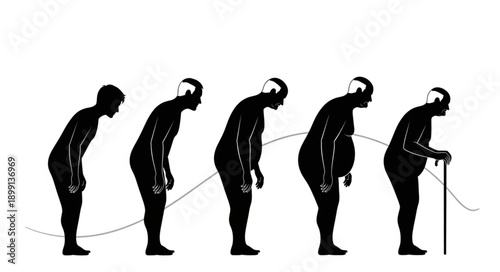 Human Aging Process Silhouette Progression.