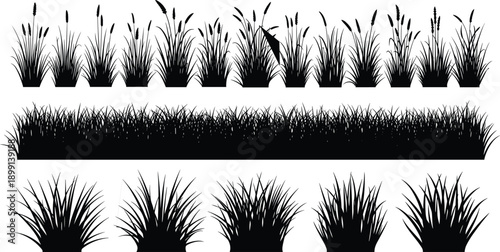 Black grass silhouettes collection, meadow and reed plant borders set, natural landscape elements, hand drawn vector illustration isolated on white background