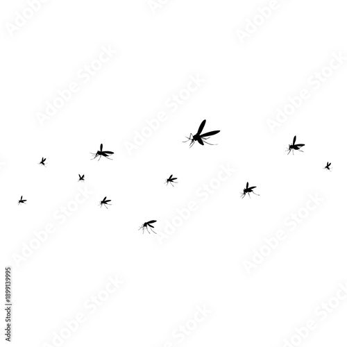 Flying mosquito vector