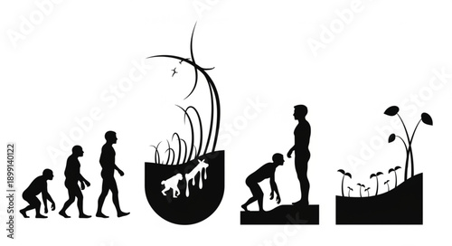 Human Evolution and Plant Growth Metaphor.