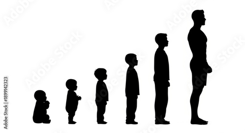 Human Growth Stages Silhouette From Baby to Adult Man.