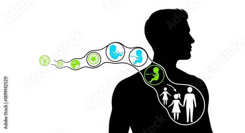 Human Life Cycle Development and Family Growth Illustration.
