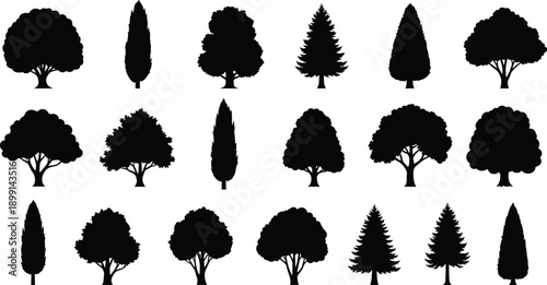 Tree silhouette collection featuring various deciduous and evergreen shapes, forest nature elements, black botanical vector illustrations isolated on white background design set