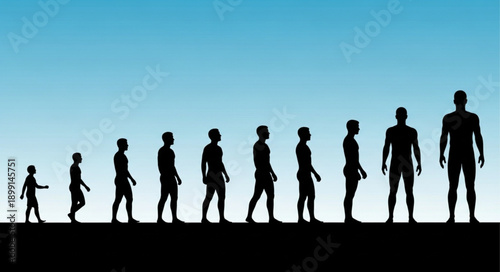 Human life cycle progression from child to adult silhouette.