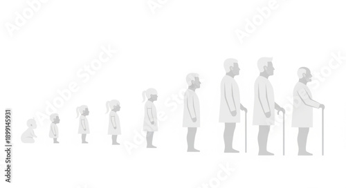 Human life cycle progression from infancy to old age.