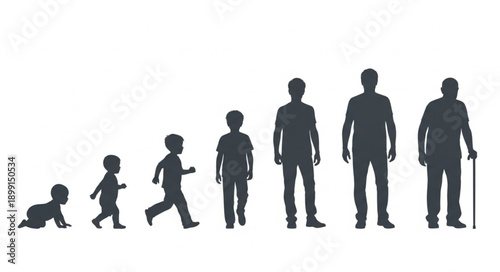 Human life cycle stages from baby to elderly man silhouette.