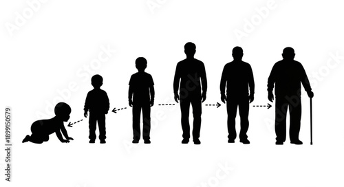 Human life cycle stages from baby to elderly man silhouette.