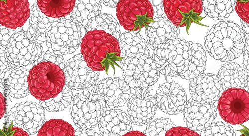 Vibrant seamless pattern of hand-drawn red raspberries mixed with monochrome sketches for fresh food packaging or kitchen textile designs.