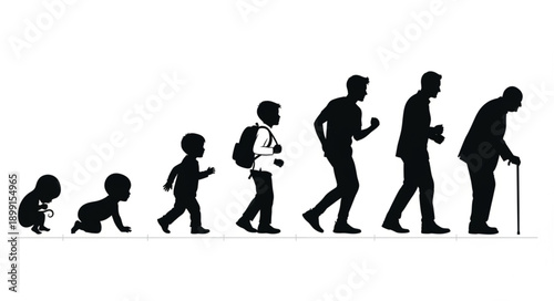 Human life cycle stages from baby to elderly silhouette.