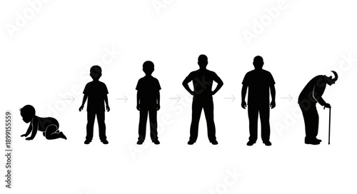 Human life cycle stages from baby to elderly person silhouette.