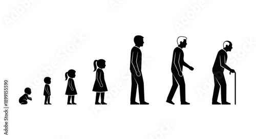 Human life cycle stages from baby to elderly person silhouette.