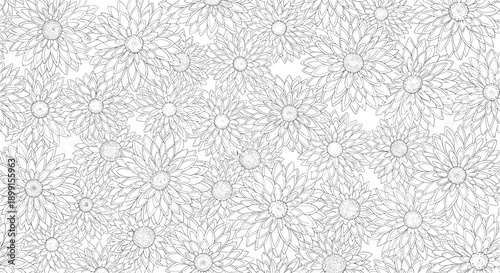 Dense background pattern of hand drawn daisy flowers in a sketchy black and white line art style for nature themed wallpaper.
