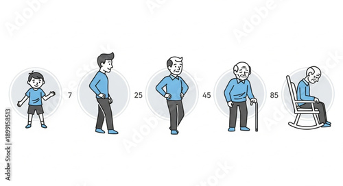 Human life cycle stages from childhood to old age.