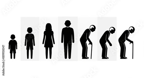 Human life cycle stages from childhood to old age.