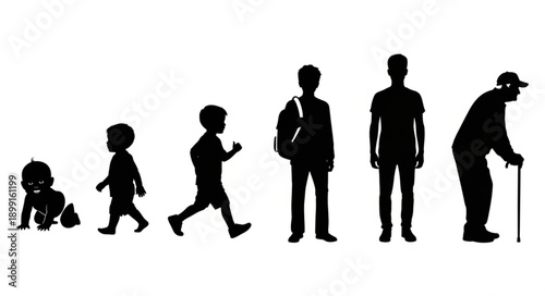 Human life cycle stages from infancy to old age.