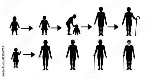 Human life cycle stages from infancy to old age.