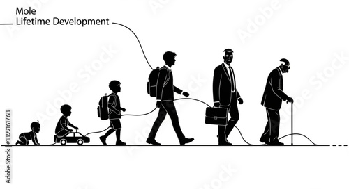 Human life cycle stages from infancy to old age.