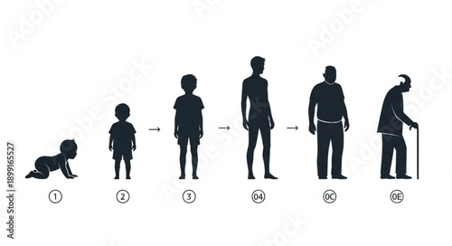 Human life cycle stages from infancy to old age silhouette illustration.