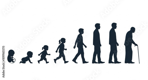 Human life cycle stages from infancy to old age silhouette progression.