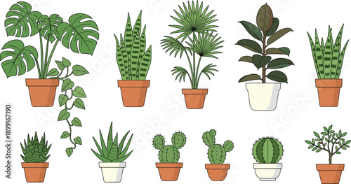 Collection of indoor potted plant illustrations featuring monstera snake plant cactus and succulents in ceramic pots for home decor design