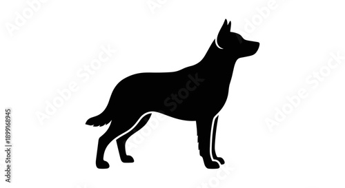 Black silhouette of dog standing.