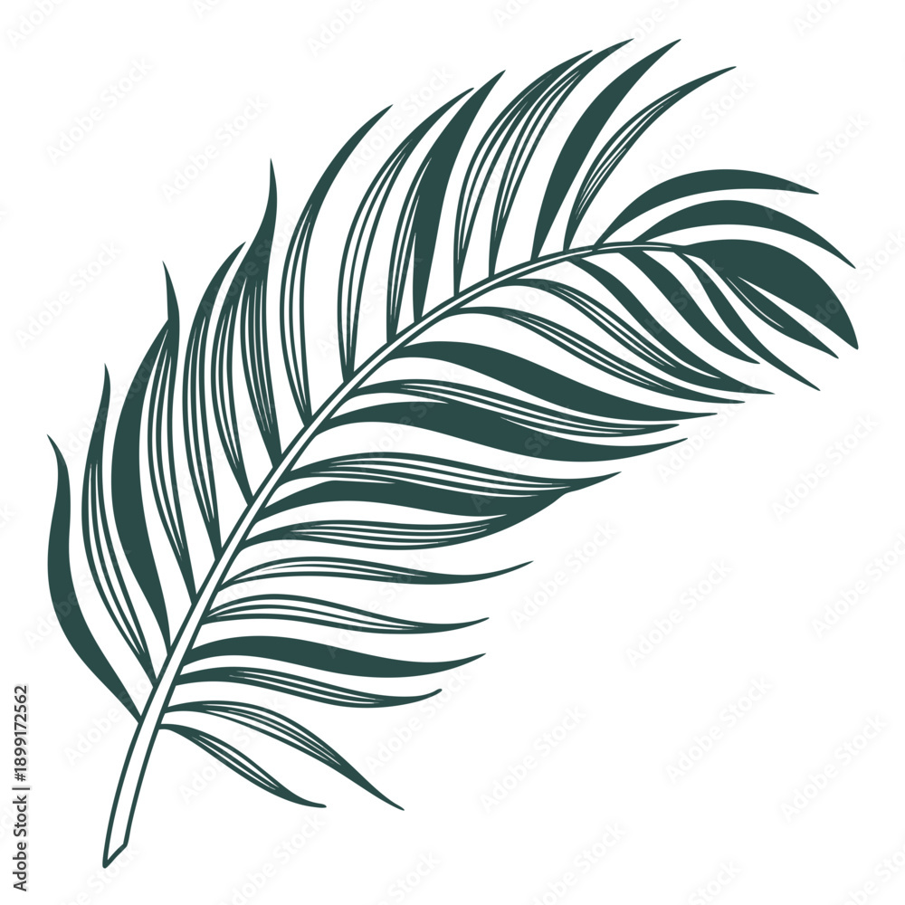 Obraz premium Single green feather illustration