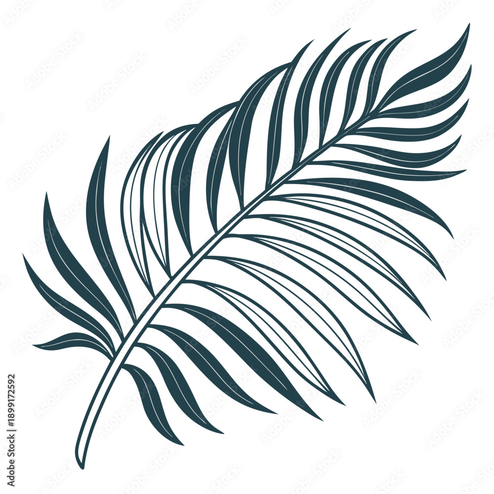 Fototapeta premium Single tropical leaf illustration