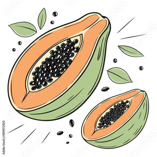 Illustrated papaya fruit