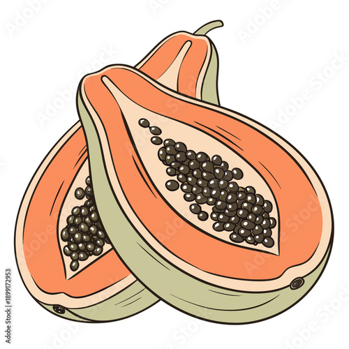 Sliced papaya illustration