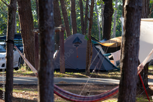 Relaxing campsite in pine forest with grey tourist tent and hammock under morning sunlight, outdoor adventure and travel lifestyle, peaceful summer camping experience in nature park with copy space.