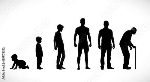 Human life cycle stages represented by silhouettes.