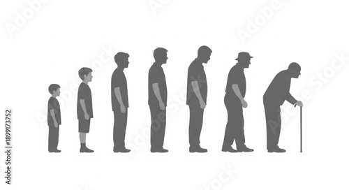 Human life cycle stages shown as silhouettes from child to elderly man.