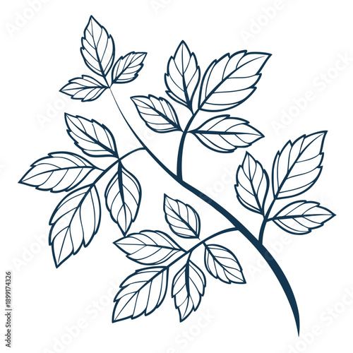 Line art of leaves