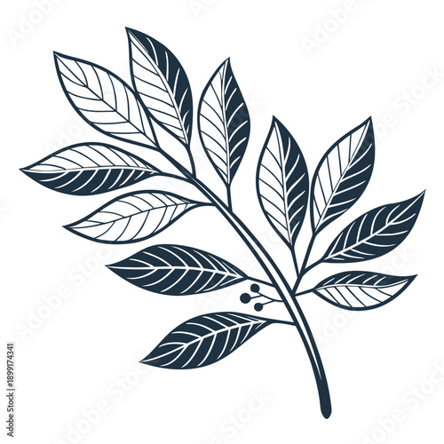 Illustration of a leafy branch