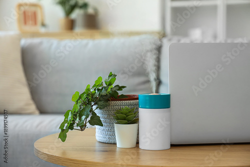 Air humidifier with plants ...