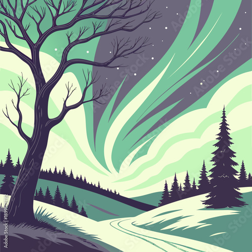 Winter night with northern lights