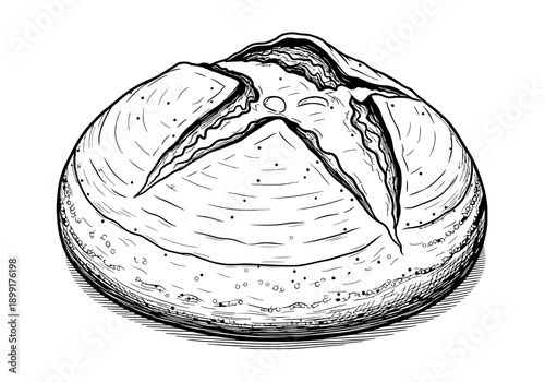 A freshly baked pie with a crimped crust and cracked surface illustration