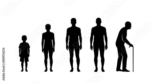 Human life cycle stages silhouette from child to elderly person.
