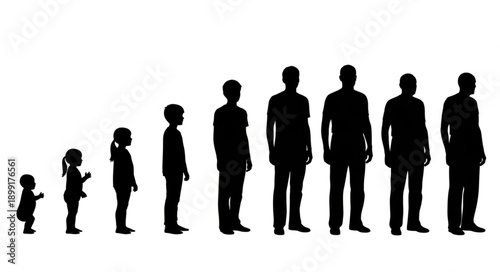 Human life cycle stages silhouette progression from baby to adult male.